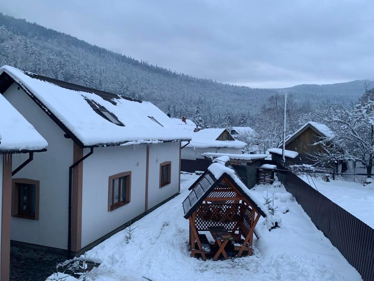 карпатський олександрія